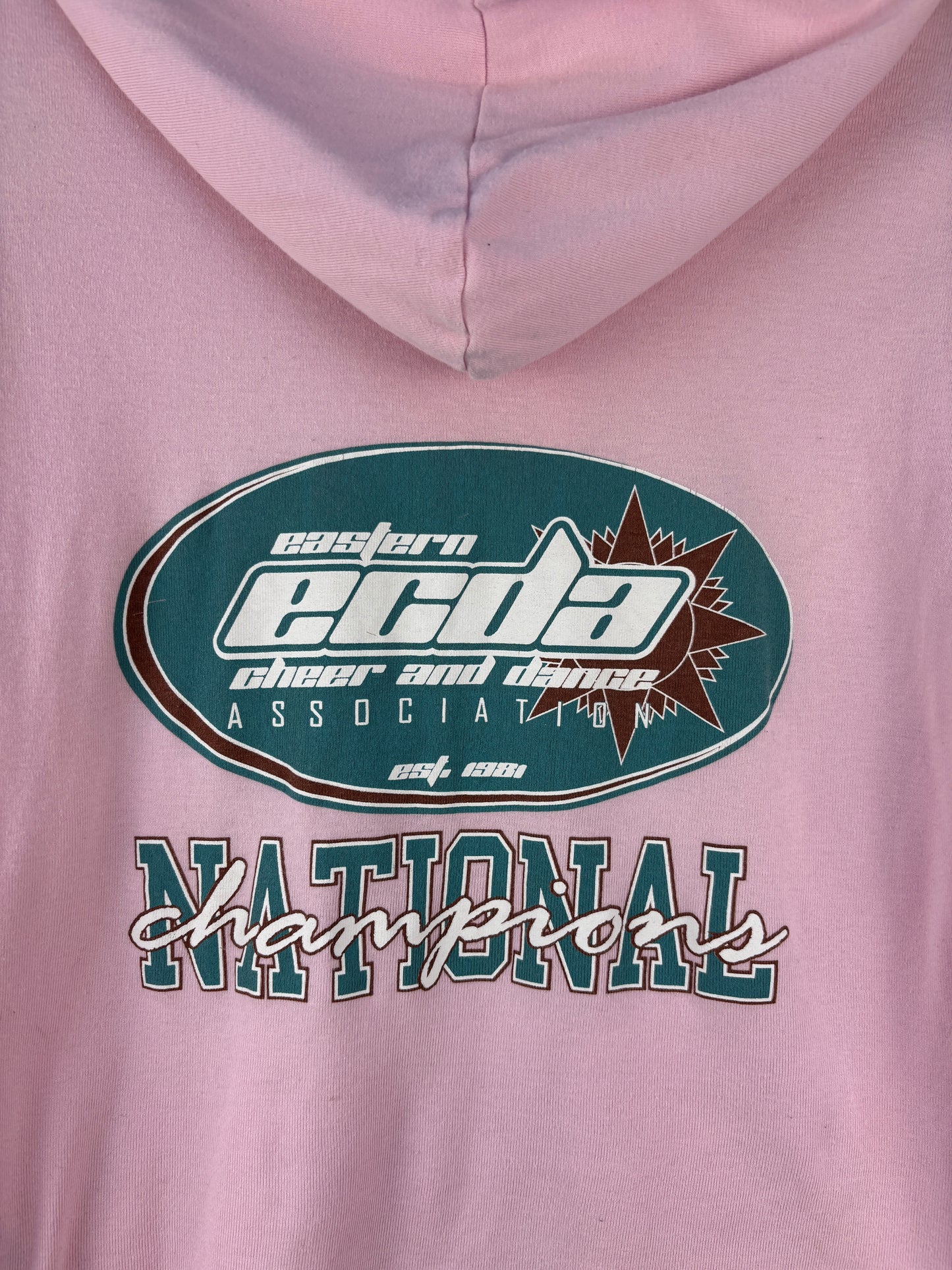 Women’s Y2K Kavio Pink Zip Hoodie