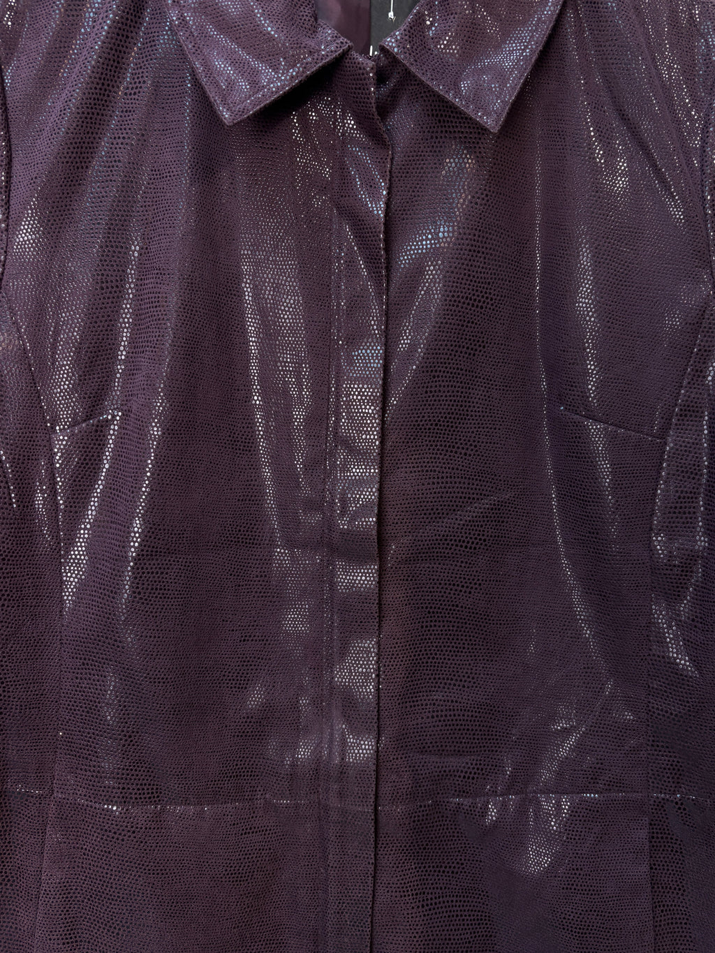 Elisabeth Shannon Metallic Snake-Print Zip Jacket