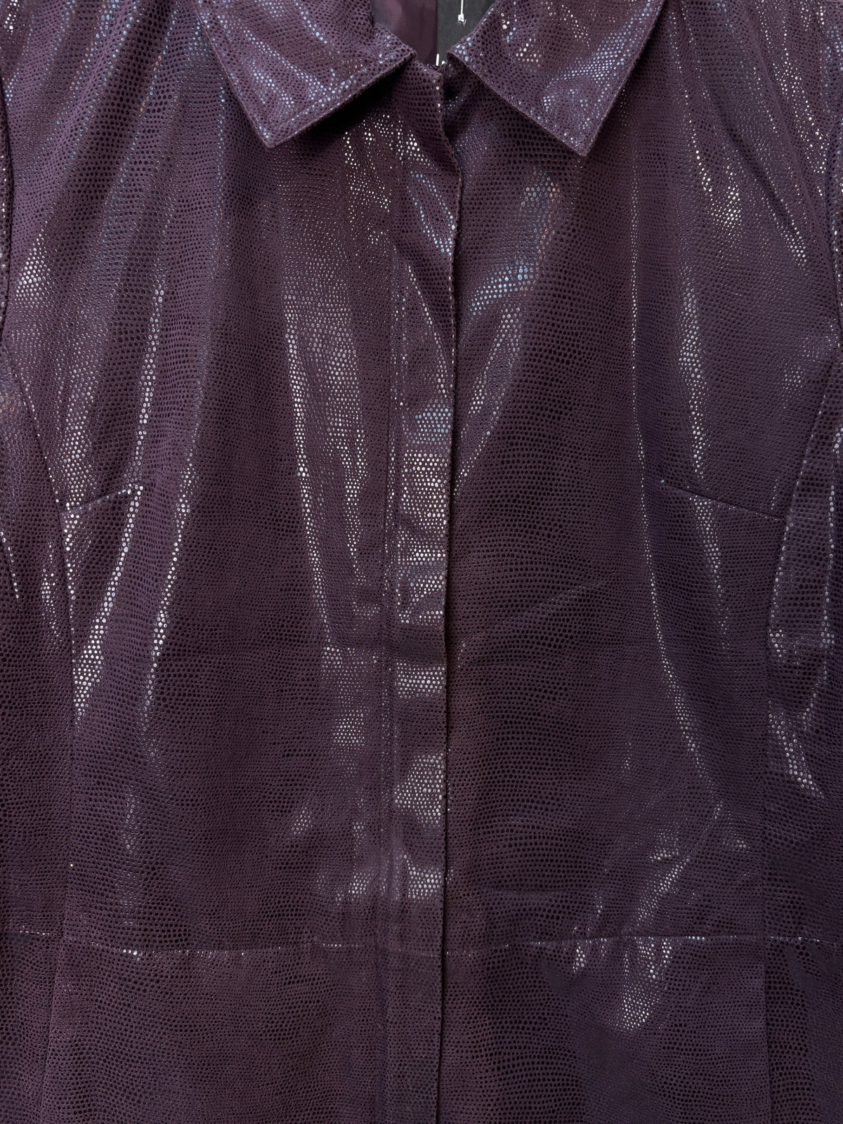 Elisabeth Shannon Metallic Snake-Print Zip Jacket