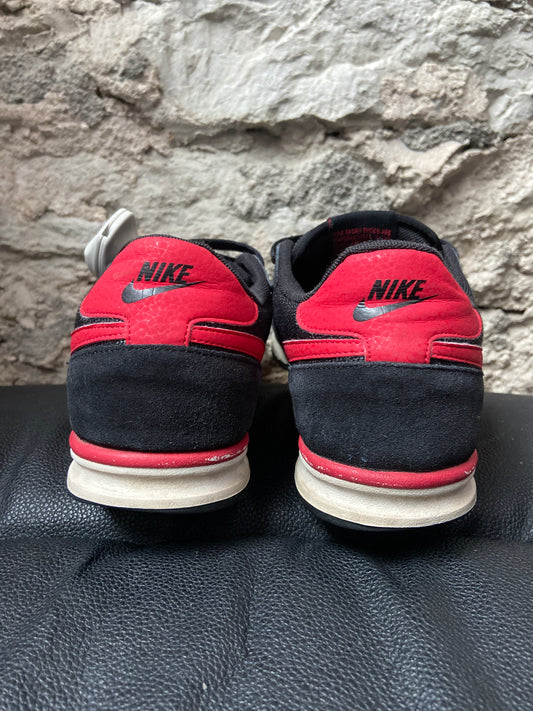 Nike Dunk Sneakers