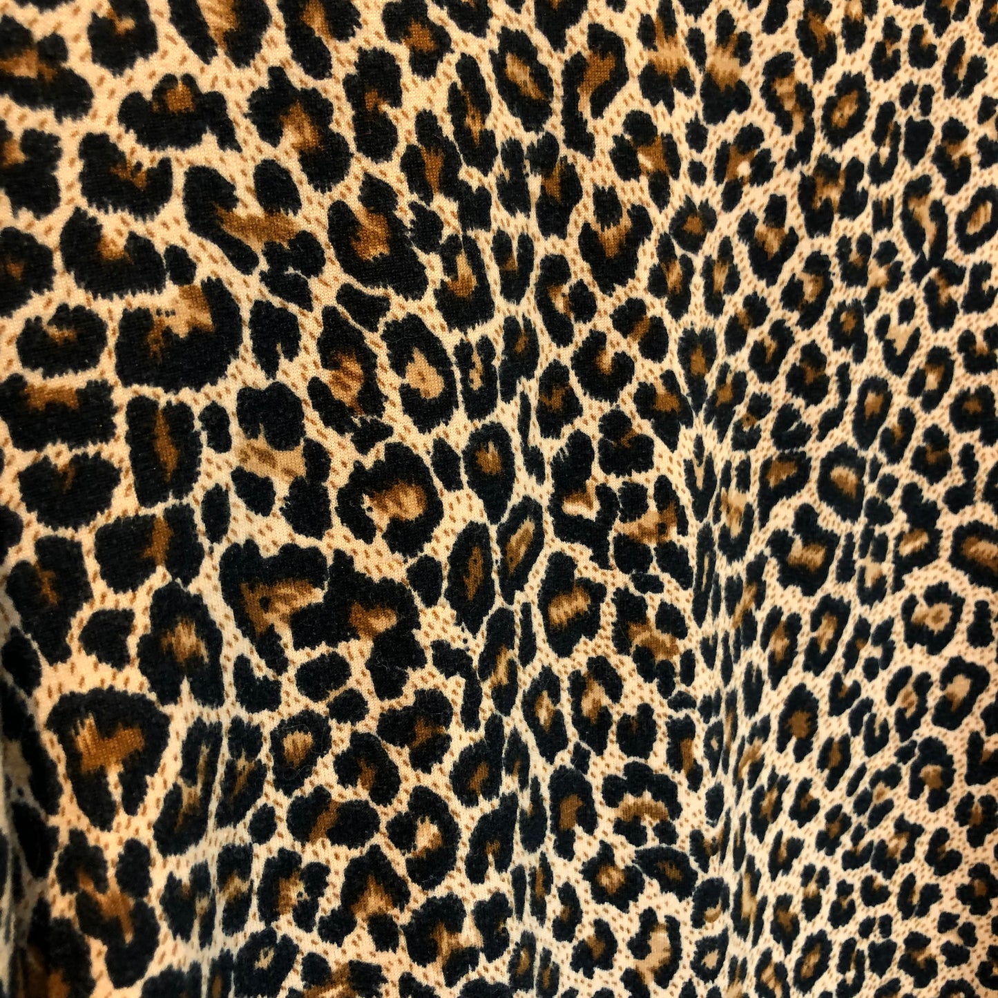 Y2K Leopard Long Sleeve