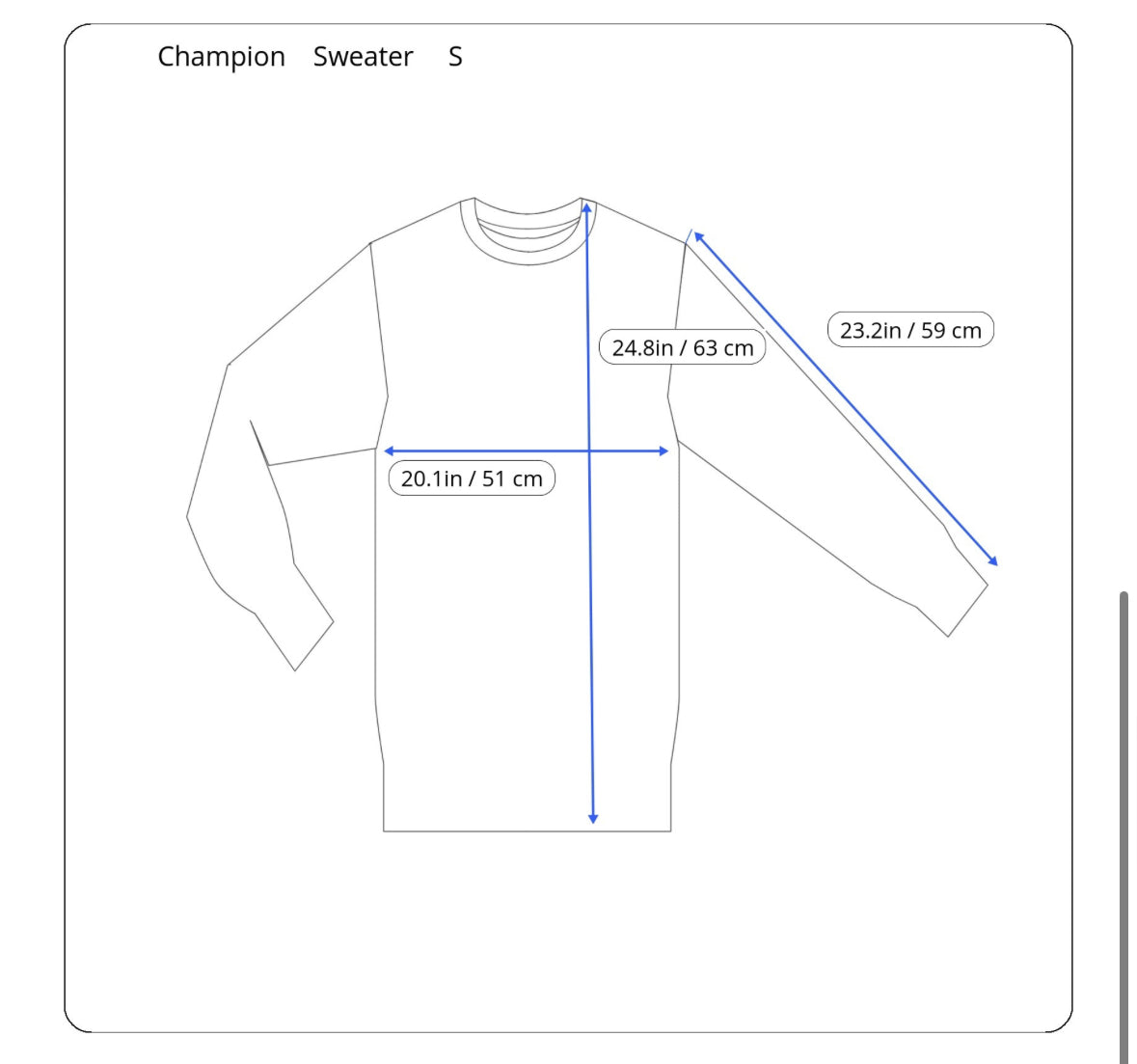 Champion Sweatshirt