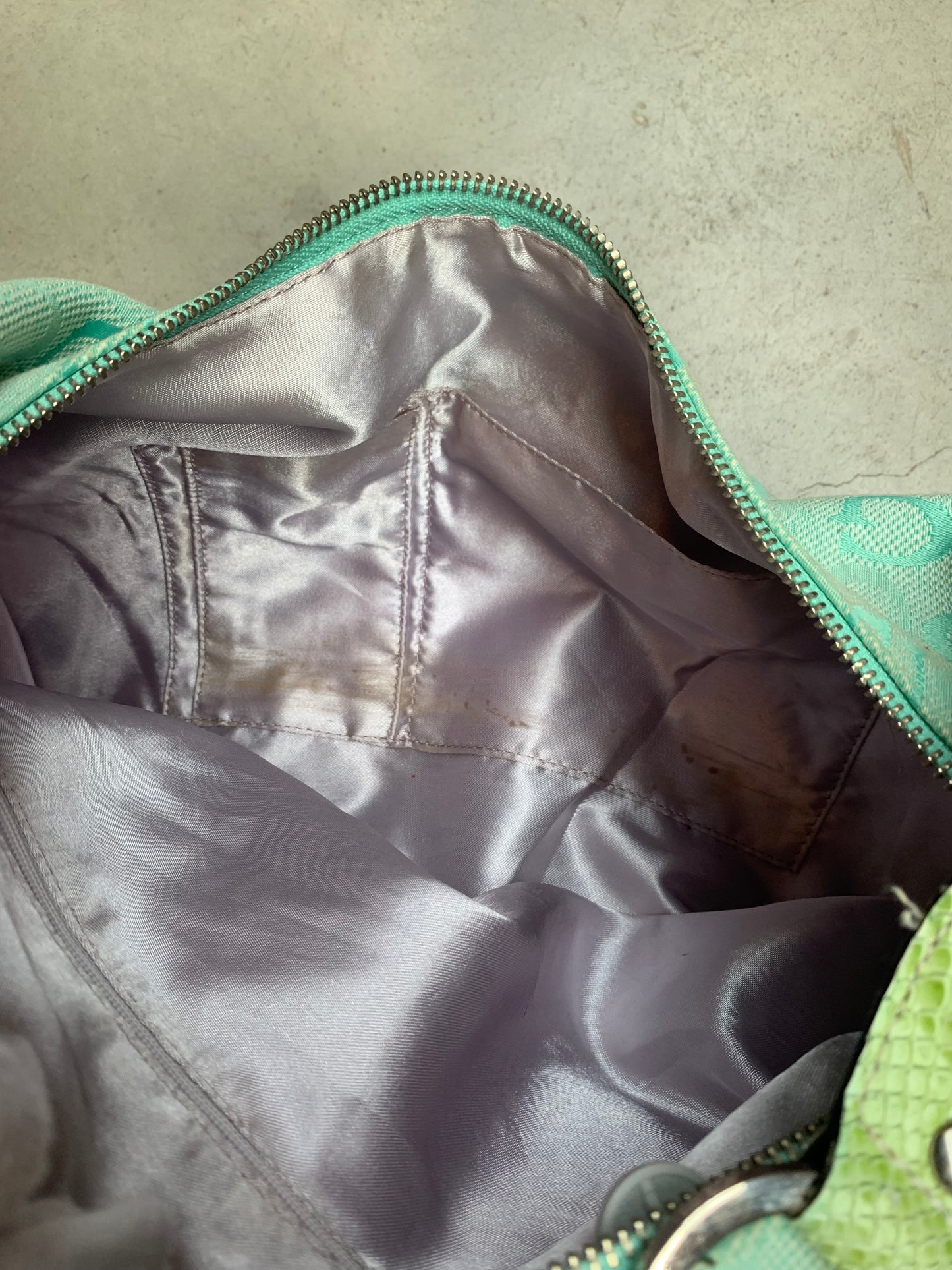 Guess Y2K Light Green Handbag