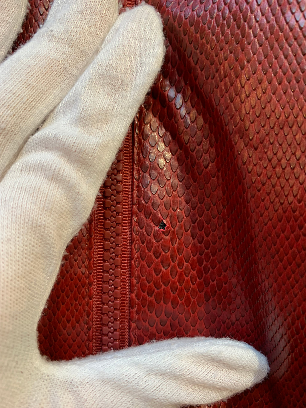 Cibyll Jeans Y2K Snakeskin Zip Jacket