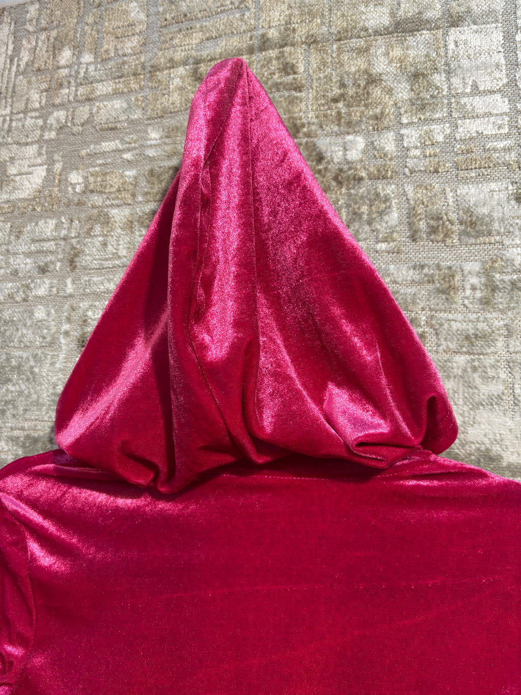 Y2K Metallic Velvet Zip Hoodie
