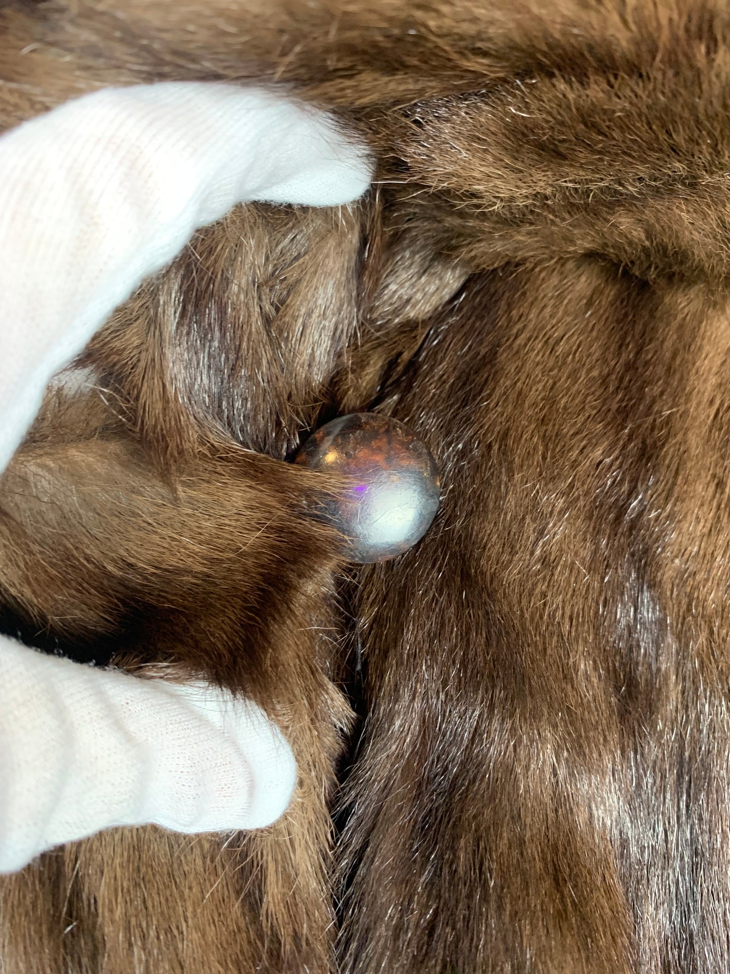 Women's Vintage Dark Brown Genuine Beaver Long Fur Coat