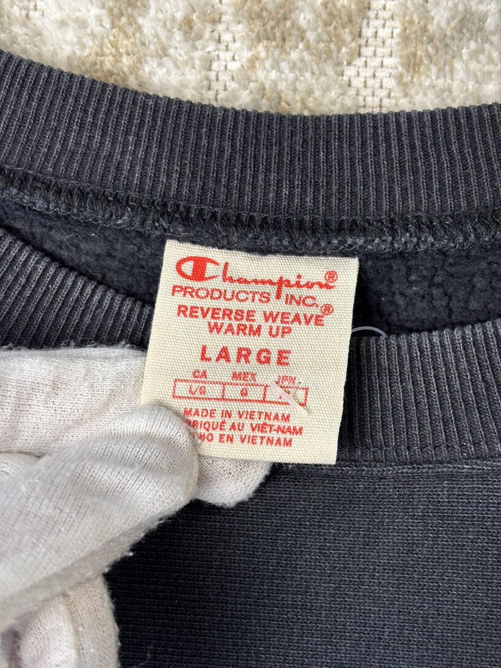 Champion Reverse Weave Script Logo Sweatshirt